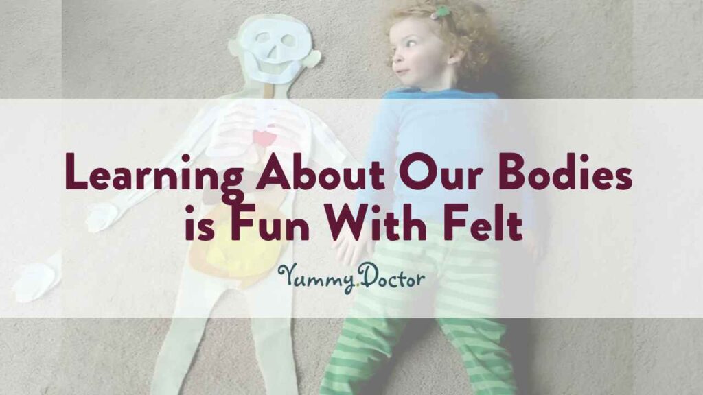 Yummy Doctor Holistic Health Education - Blog - Learning About Our Bodies is Fun With Felt