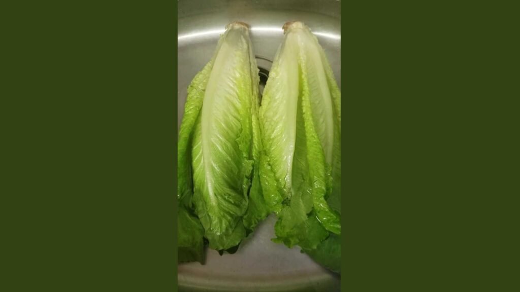 E.coli on your Romaine Don’t Worry!