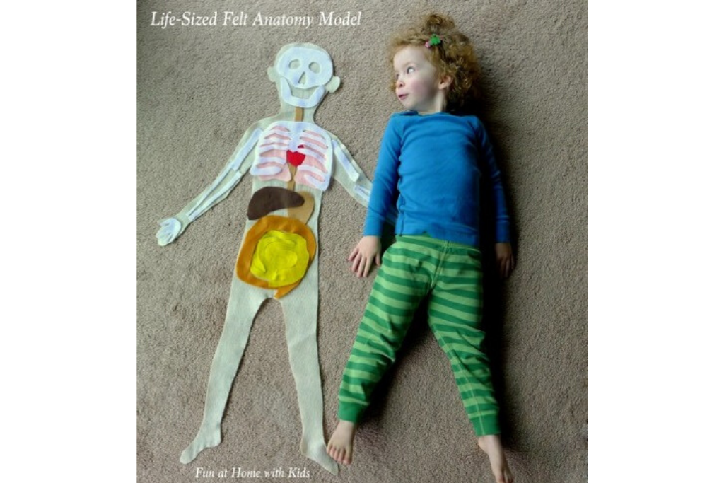 YumNaturals Emporium - Bringing the Wisdom of Mother Nature to Life - Learning About Our Bodies is Fun With Felt