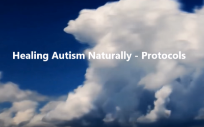 Autism Protocol (Starter)