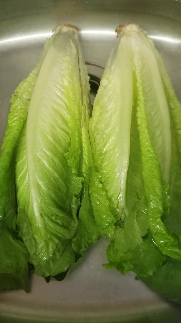 E.coli on your Romaine? Don't Worry!