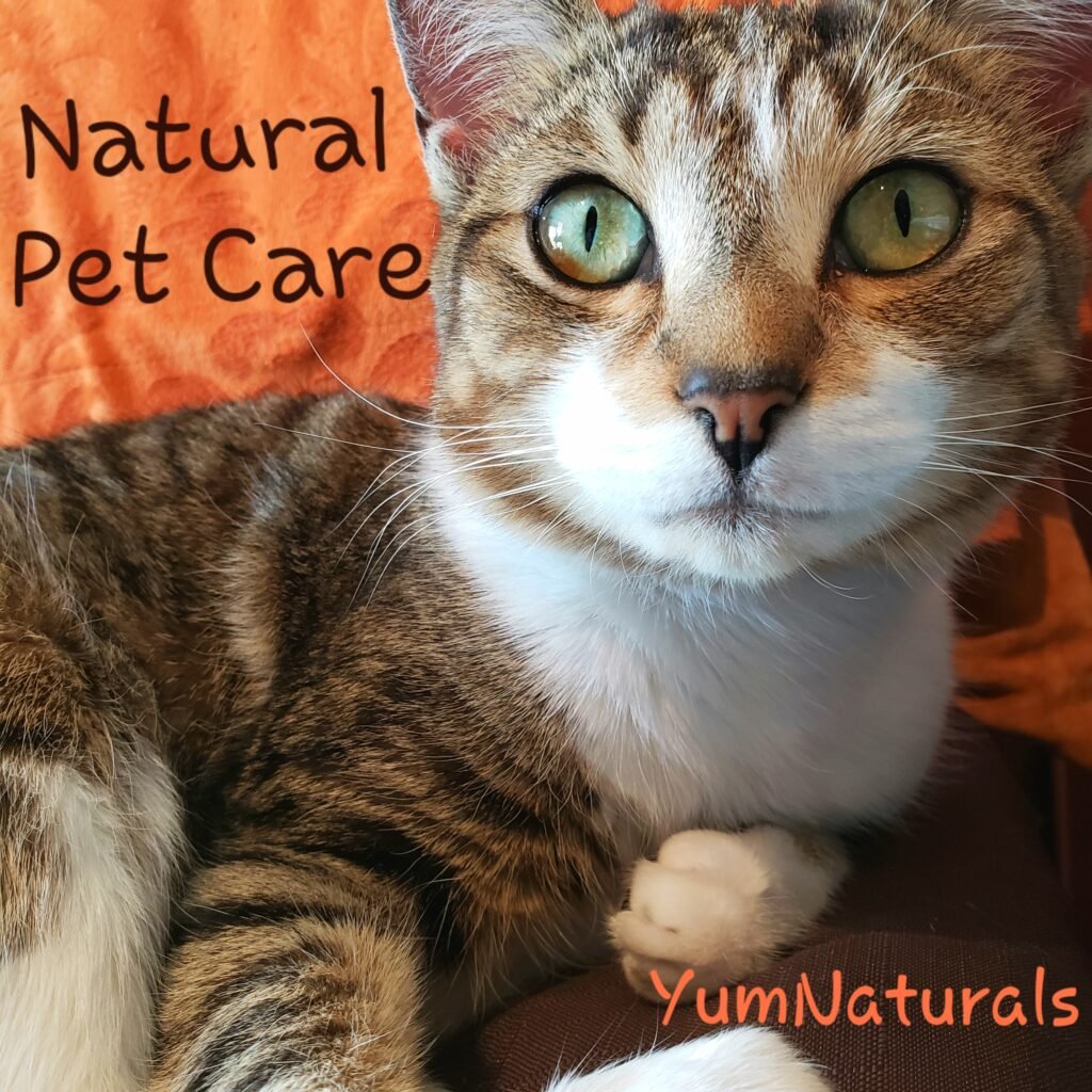 YumNaturals Emporium - Bringing the Wisdom of Mother Nature to Life - Natural Pet Care