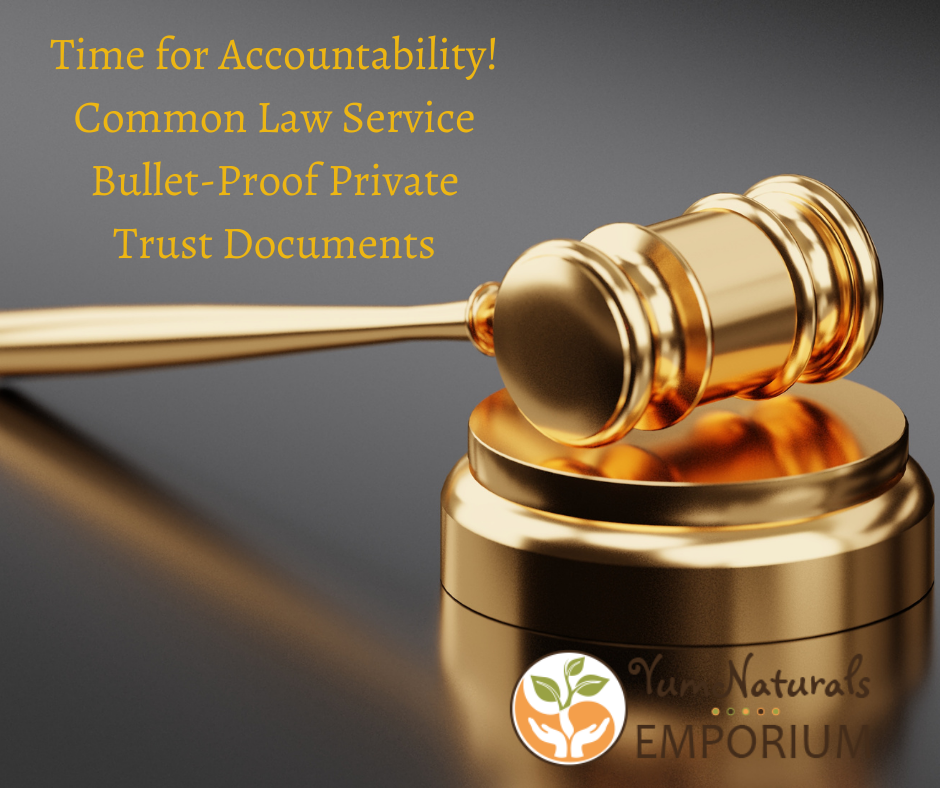 Time For Accountability - Yummy Doctor - Amandha Vollmer Blog