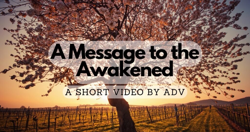 A-Message-to-the-Awakened-by-Amandha-Vollmer
