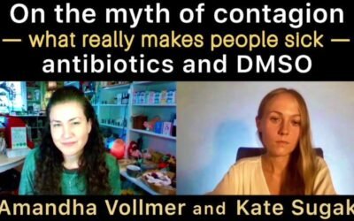 Myth of Contagion, What Makes People Sick, Antibiotics and DMSO