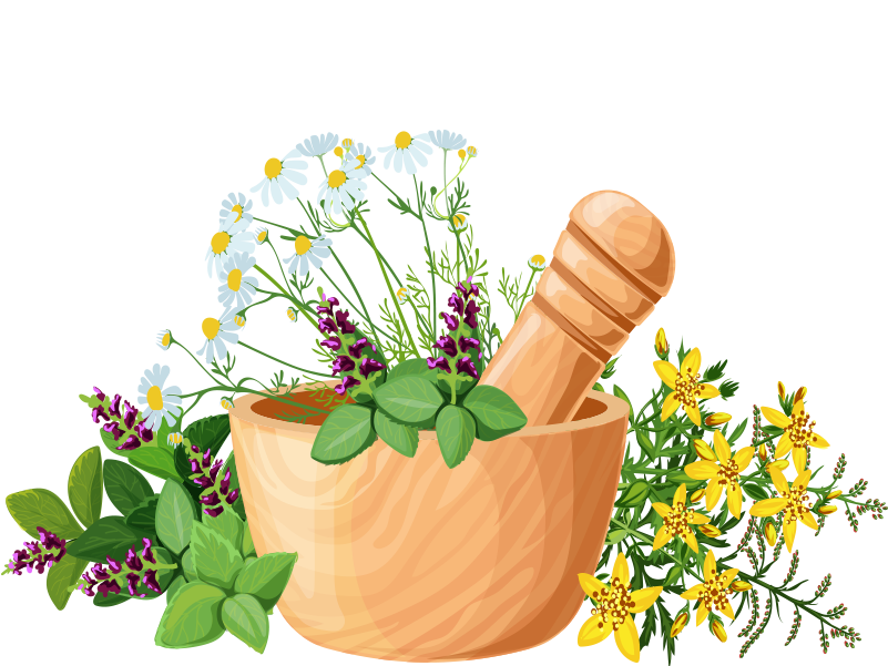 Yummy.Doctor Website - YumNaturals Yummy Mummy - Flowers in Mortar and Pestle