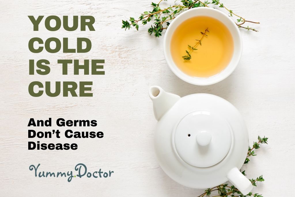 Yummy Doctor Holistic Health Education - Blog - Your Cold is the Cure and Germs Don't Cause Disease