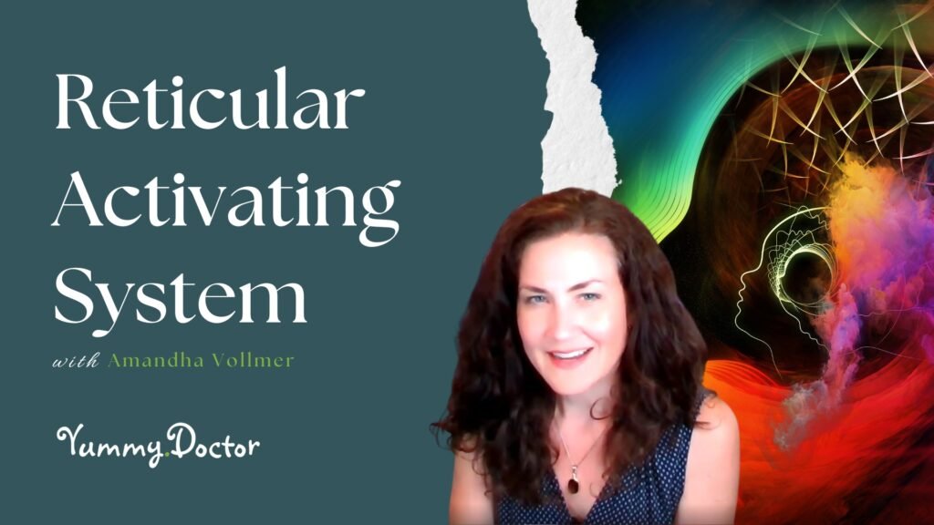 What is a Reticular Activating System-by-Amandha-Vollmer-ADV