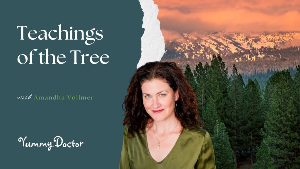 Teachings of the Tree by Amandha Vollmer (ADV)