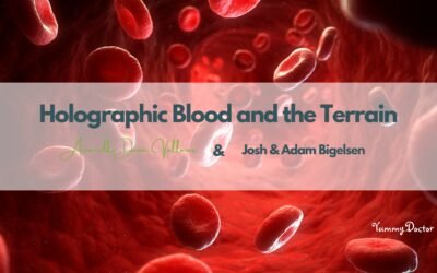 Holographic Blood and the Terrain: Amandha Vollmer (ADV) with Josh and Adam Bigelsen