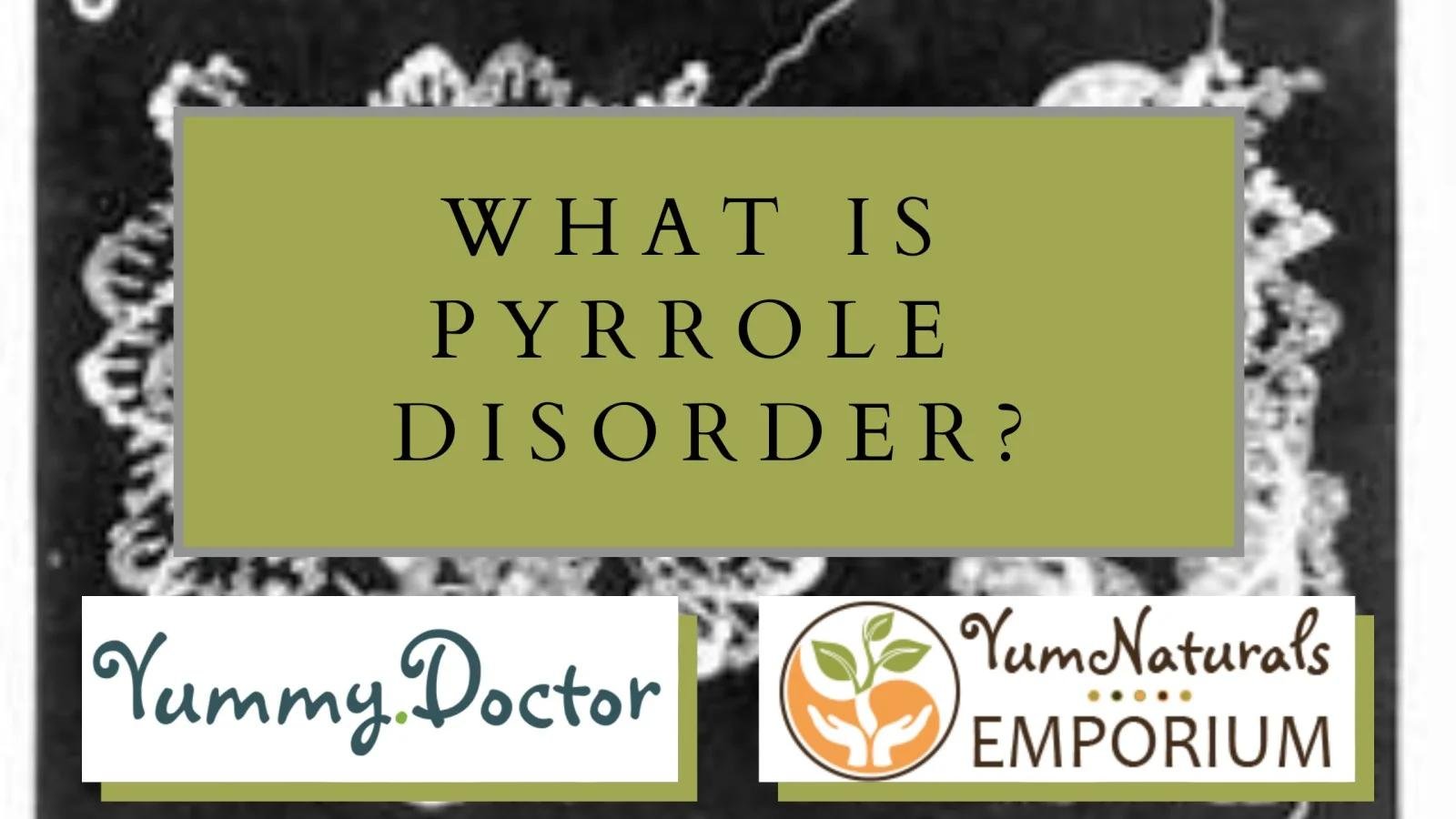 Yummy_Doctor_Holistic_Health_Education_-_Blog_-_What_Is_Pyrrole_Disorder