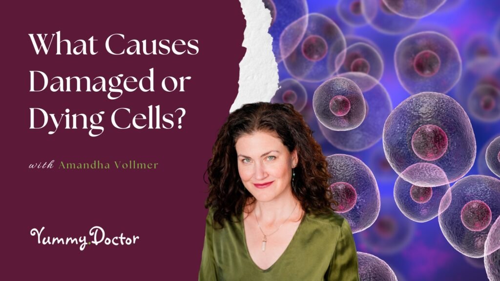What Causes Damaged or Dying Cells
