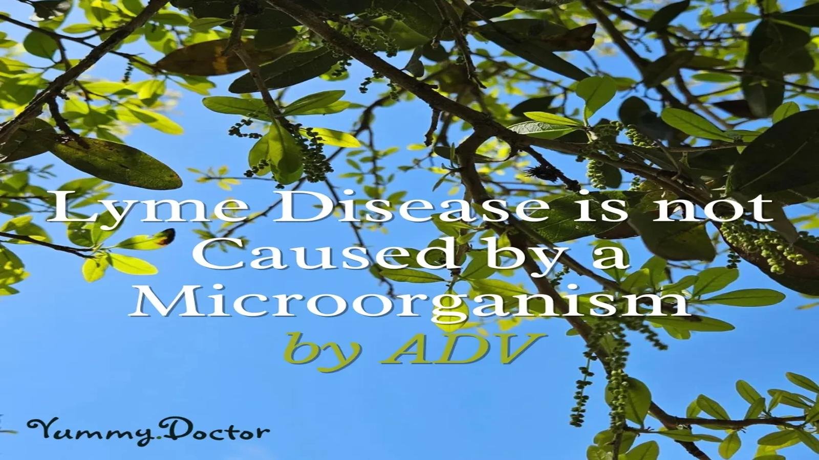 Yummy Doctor Holistic Health Education - Blog - Lyme Disease is not Caused by a Microorganism